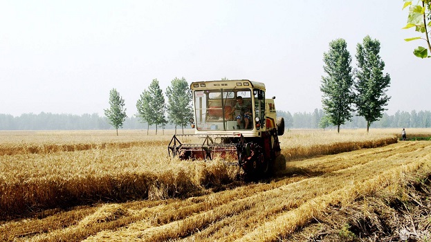 全國小麥收獲過半 夏種工作全面展開
